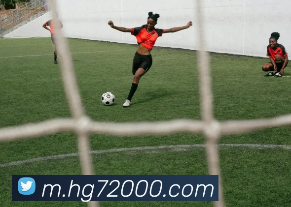 皇冠网官网平台生态图